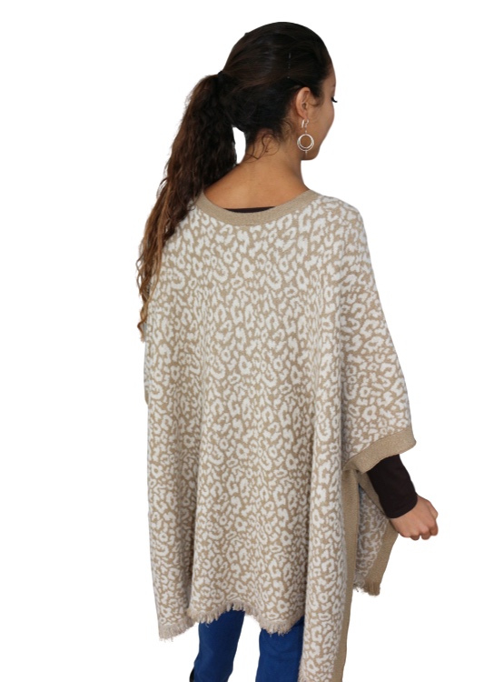 IMG_8197_clipped_rev_1