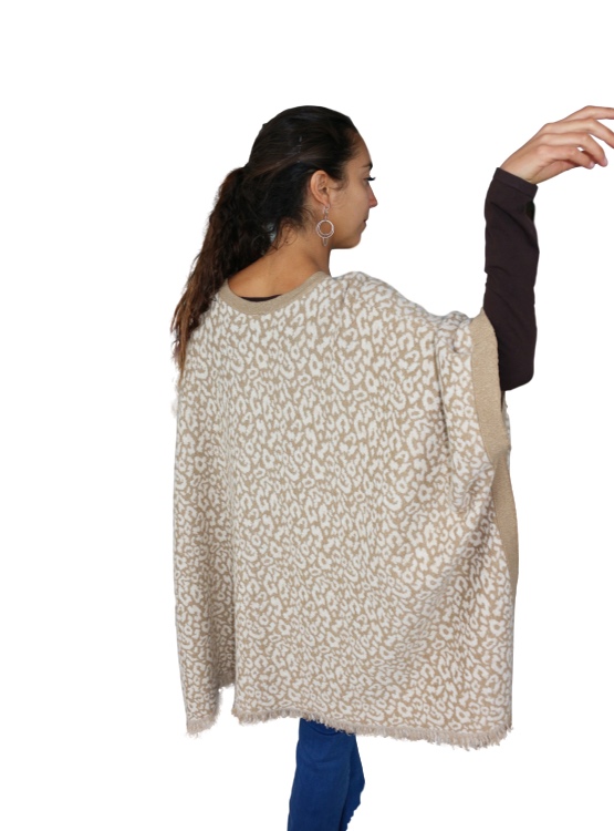 IMG_8198_clipped_rev_3